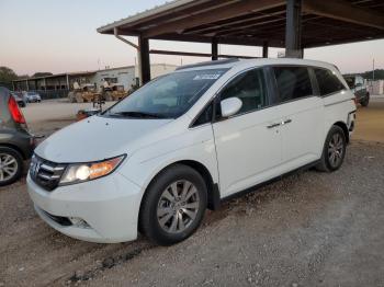  Salvage Honda Odyssey