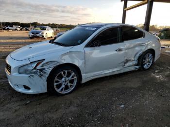  Salvage Nissan Maxima