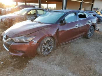  Salvage Nissan Maxima