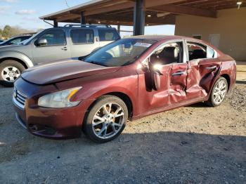  Salvage Nissan Maxima