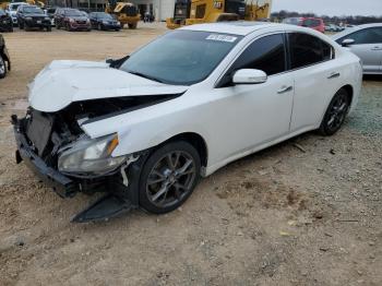  Salvage Nissan Maxima