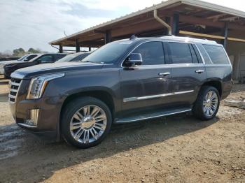  Salvage Cadillac Escalade