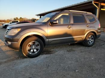  Salvage Kia Borrego