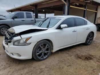  Salvage Nissan Maxima