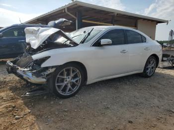  Salvage Nissan Maxima