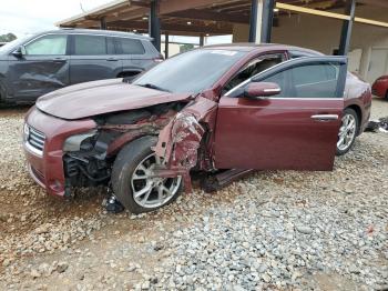  Salvage Nissan Maxima