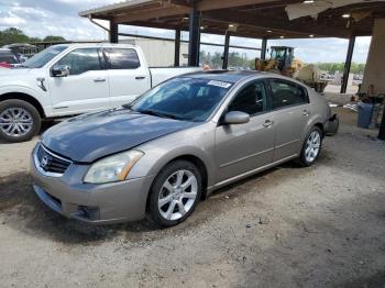  Salvage Nissan Maxima