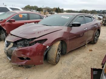  Salvage Nissan Maxima