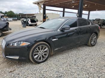  Salvage Jaguar XF