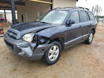  Salvage Hyundai SANTA FE
