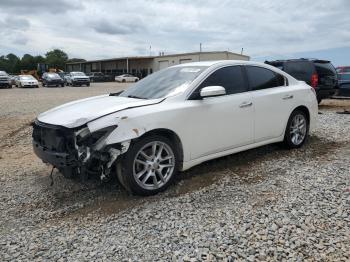  Salvage Nissan Maxima