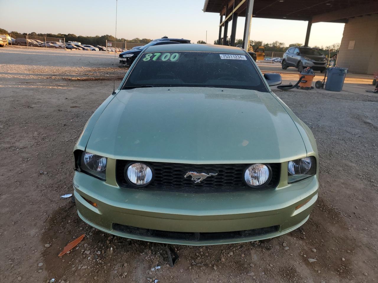 Ford Mustang Gt Image 6