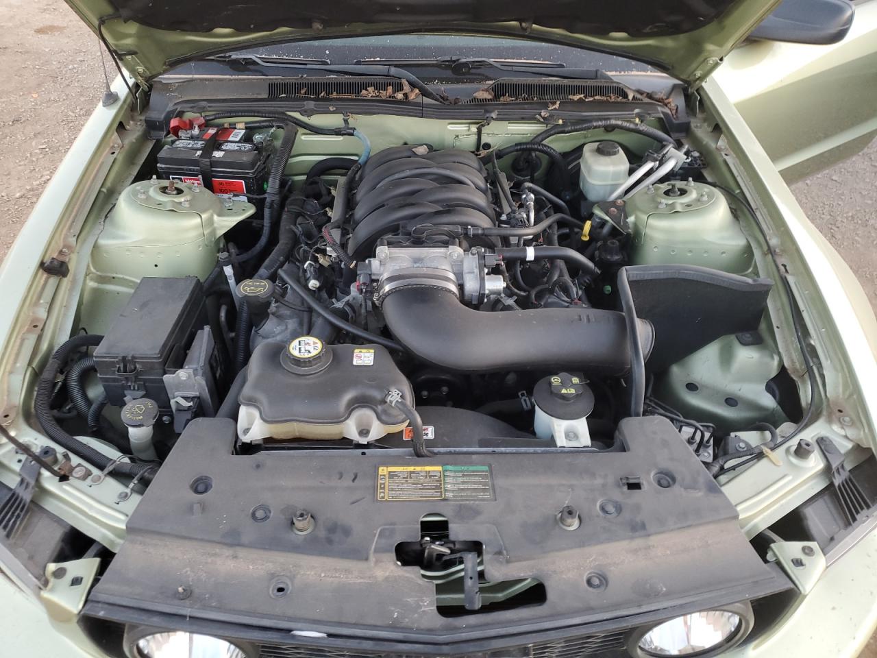 Ford Mustang Gt Image 9