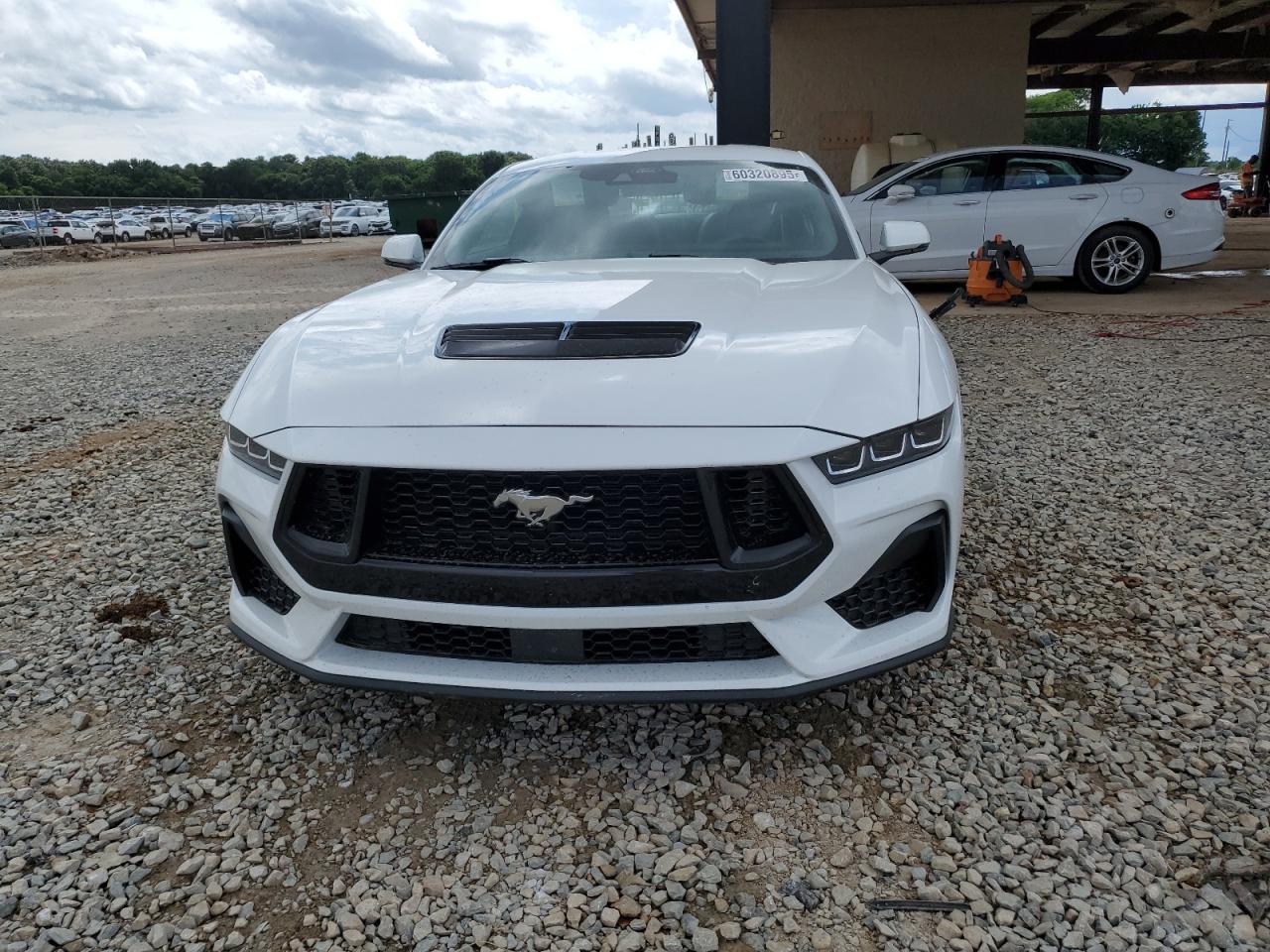 Ford Mustang Gt Image 13