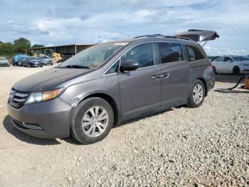  Salvage Honda Odyssey
