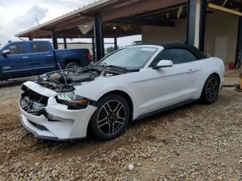  Salvage Ford Mustang