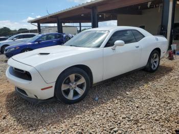  Salvage Dodge Challenger