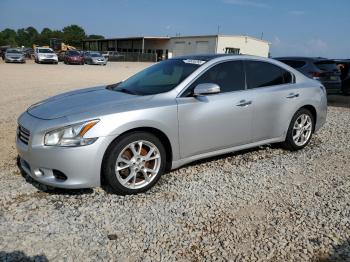  Salvage Nissan Maxima