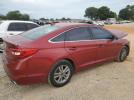 Hyundai SONATA Se Image 7