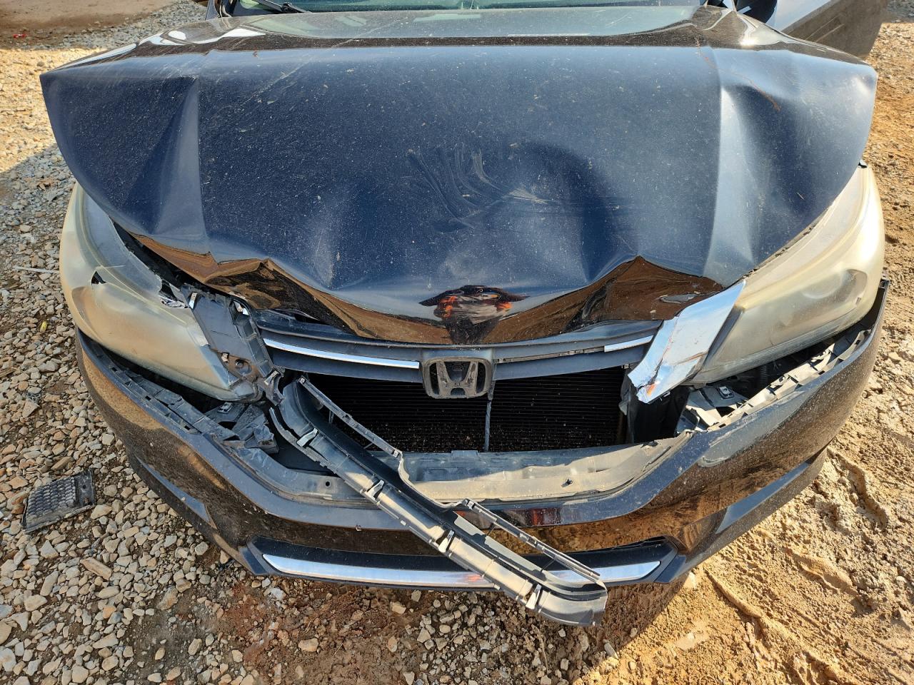 Honda Accord Sport Image 7