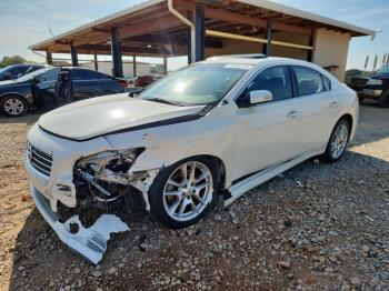  Salvage Nissan Maxima