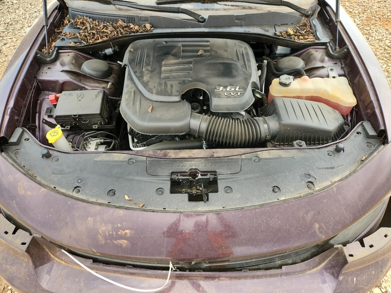 Dodge Charger Sxt Image 9