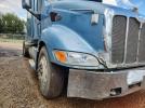 Peterbilt 387 Image 3