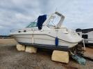 Sea Ray Sundancer Image 9