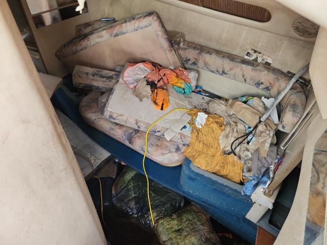 Sea Ray Sundancer Image 2