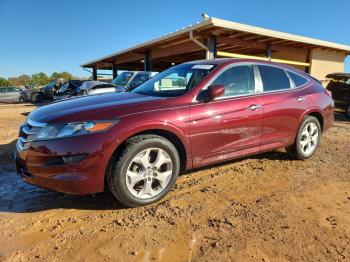  Salvage Honda Crosstour