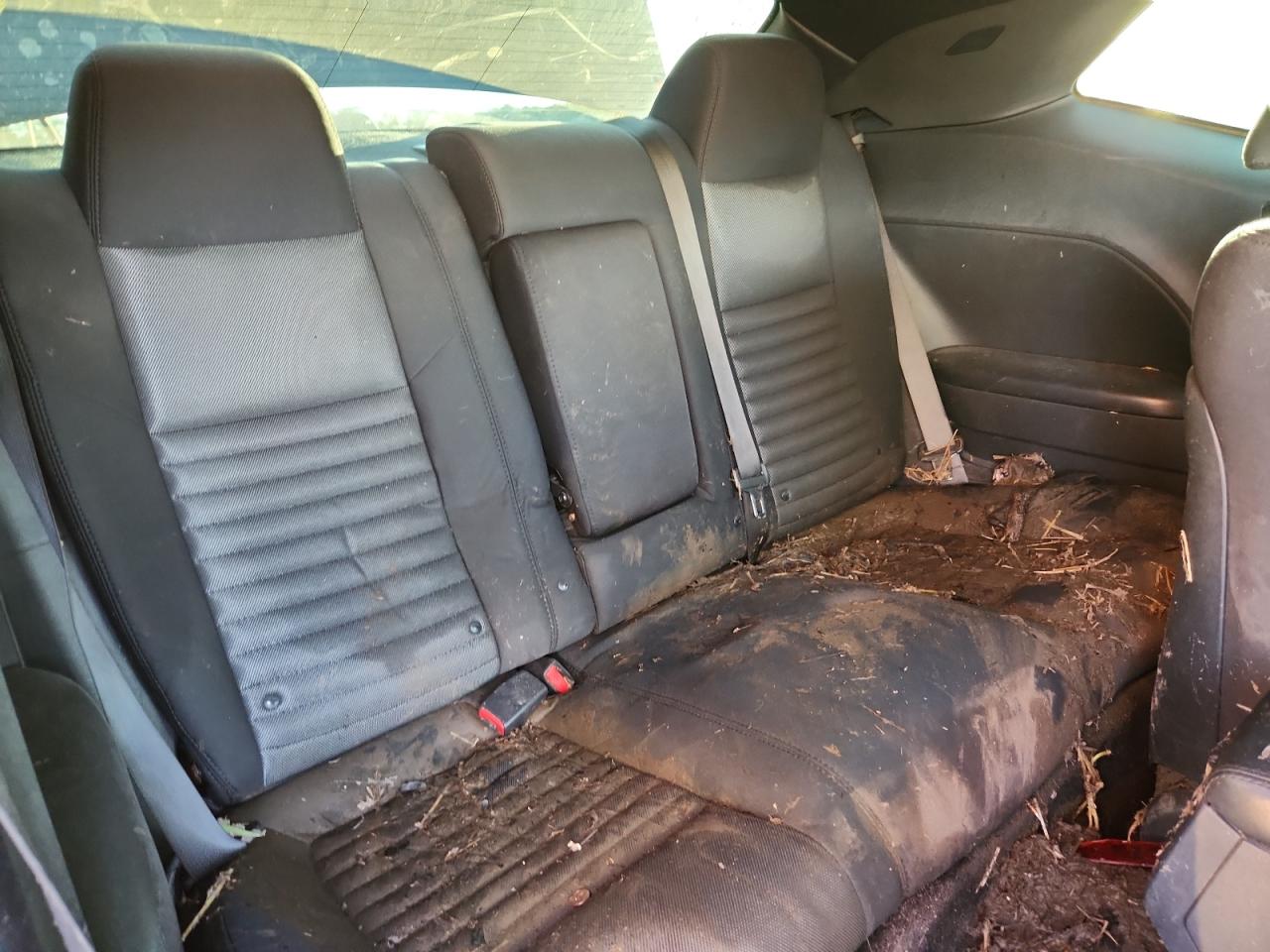 Dodge Challenger Sxt Image 12