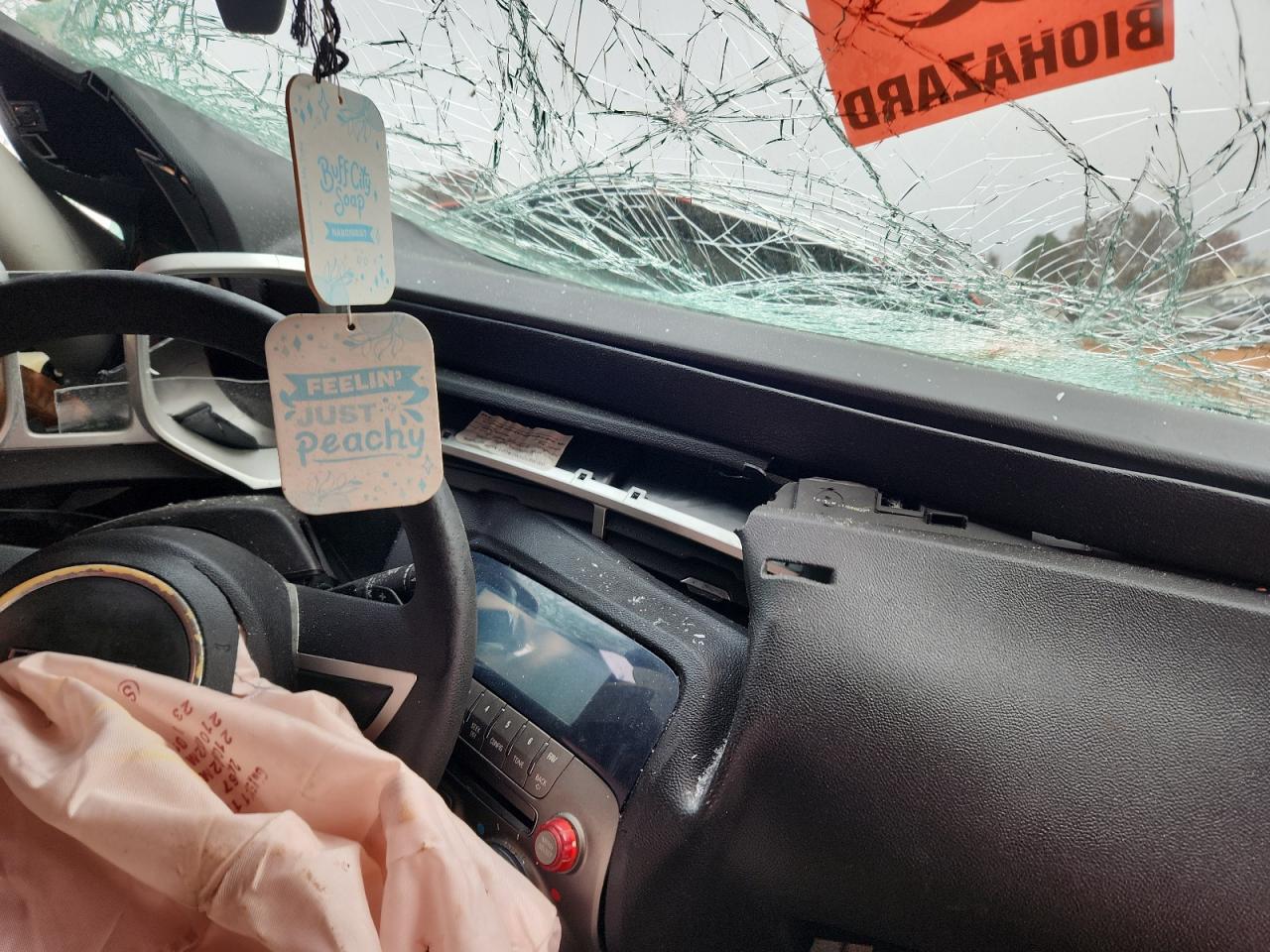 Chevrolet Camaro Lt Image 10