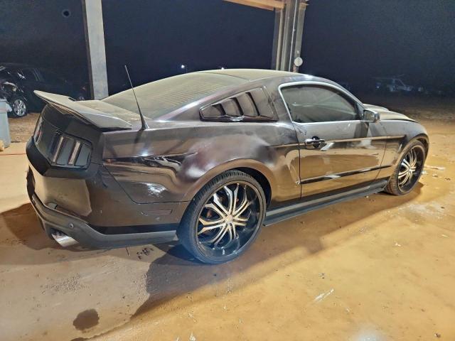 Ford Mustang Image 2