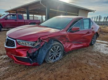  Salvage Acura TLX