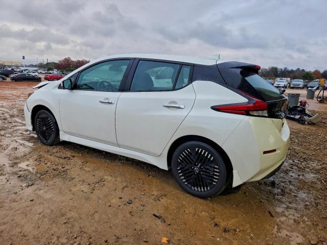 Nissan LEAF Sv Plus Image 2