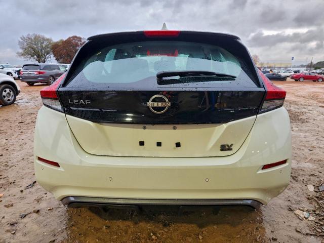 Nissan LEAF Sv Plus Image 8