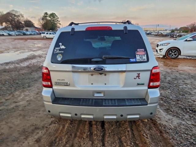 Ford Escape Limited Image 7