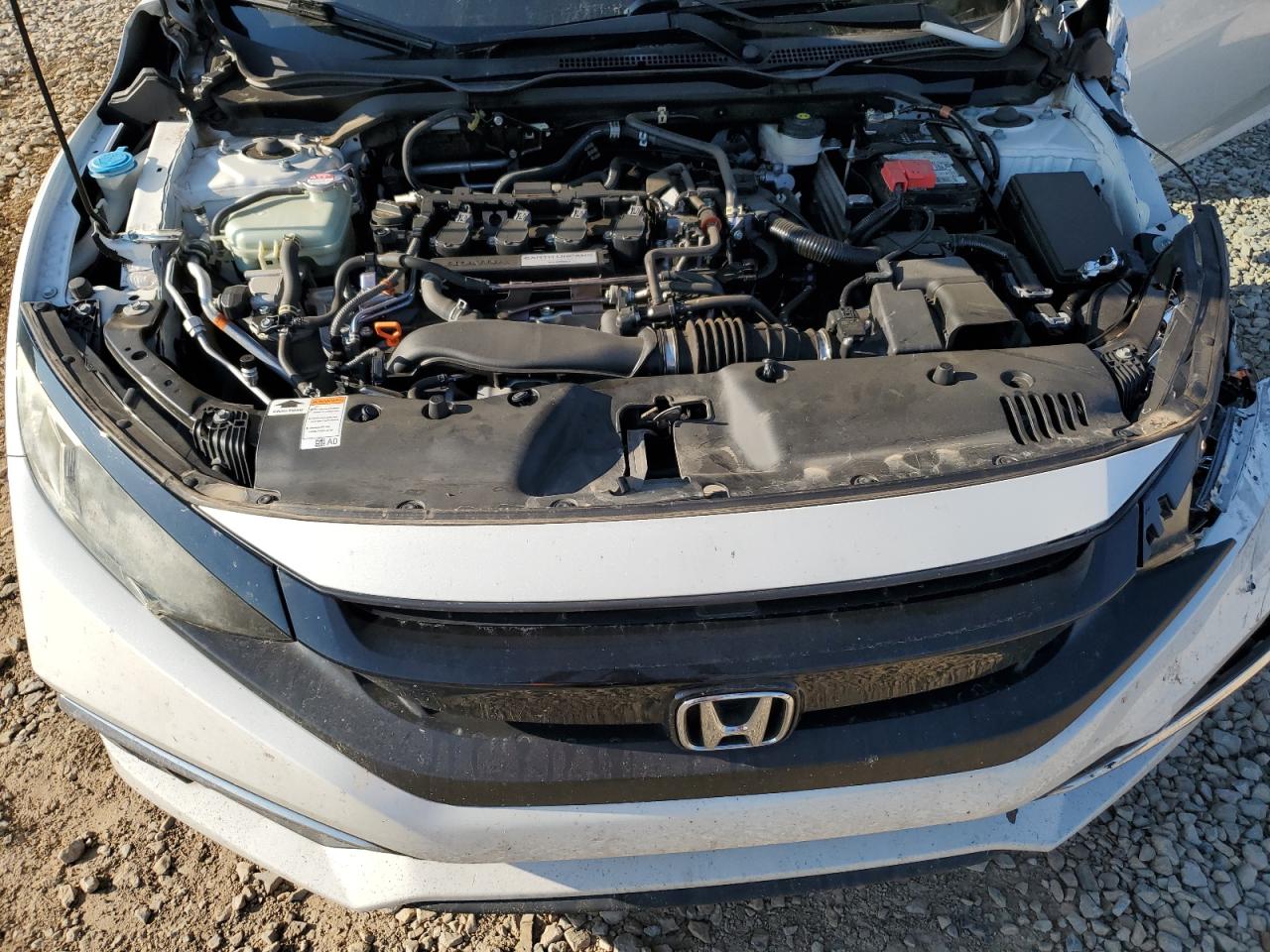 Honda Civic Exl Image 8