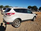 Ford Escape Titanium Image 12
