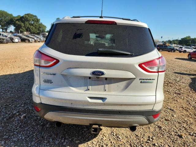 Ford Escape Titanium Image 6