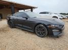Ford Mustang Image 4