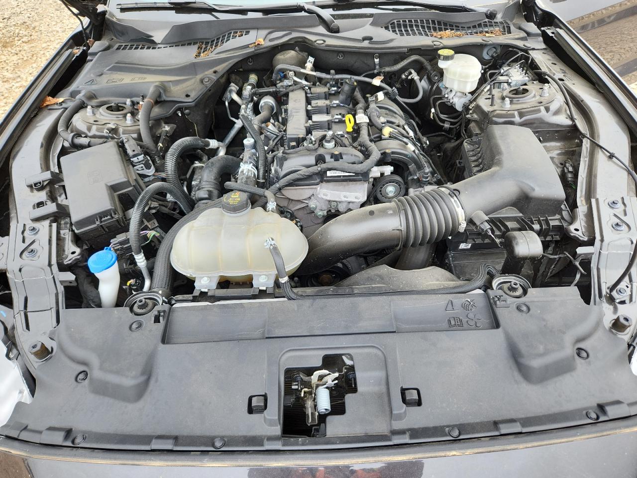 Ford Mustang Image 11