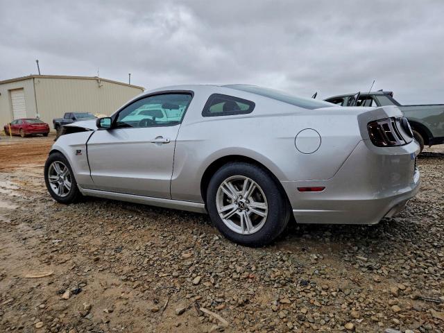 Ford Mustang Image 3