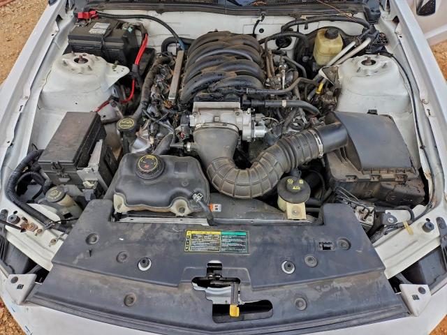 Ford Mustang Gt Image 8