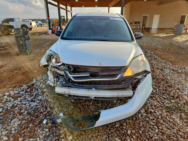 Honda Crv Lx Image 6