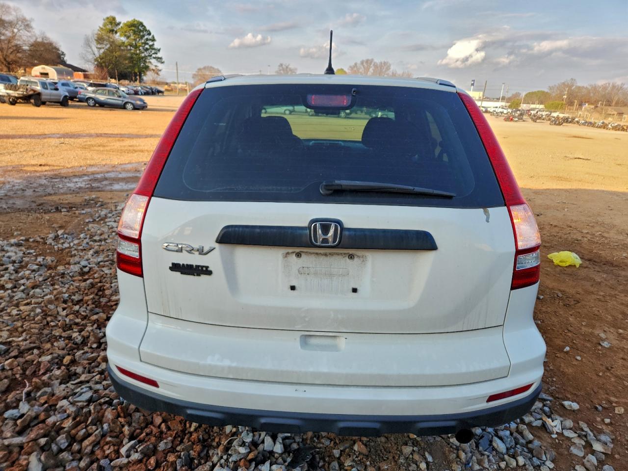 Honda Crv Lx Image 2