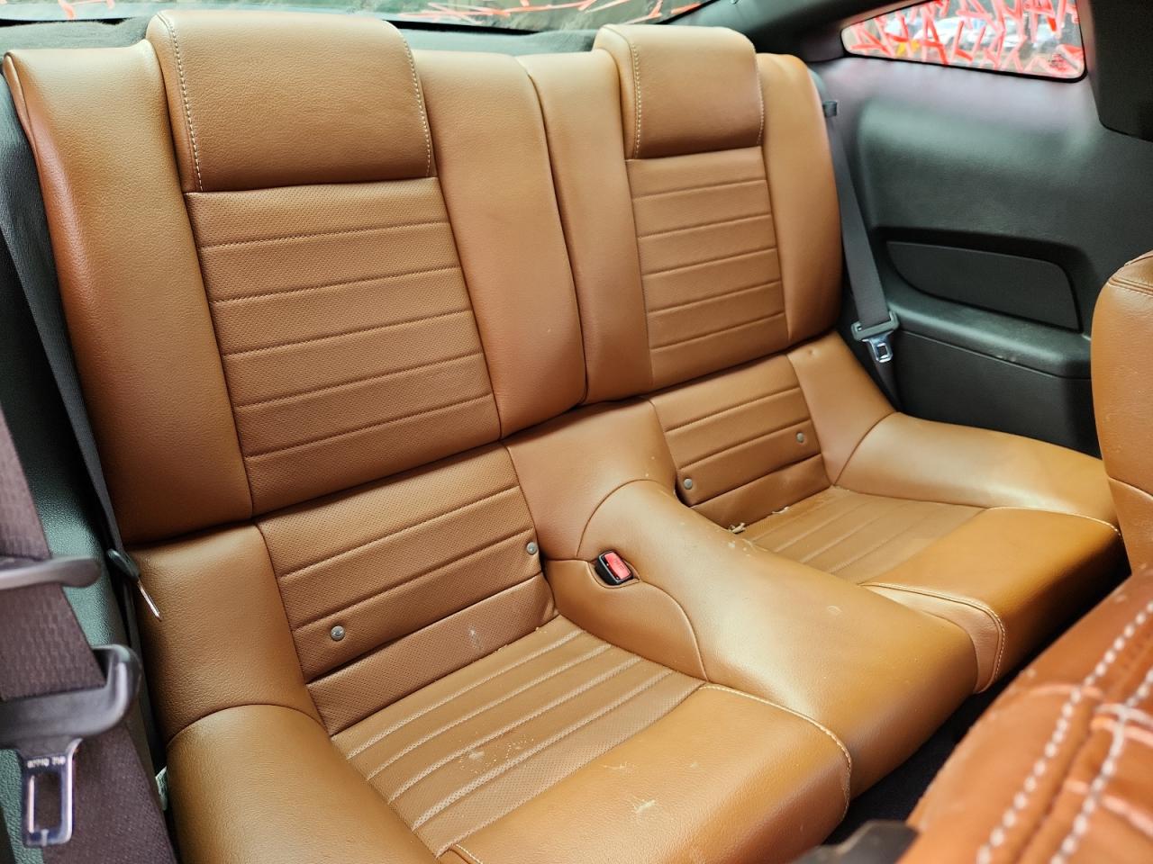 Ford Mustang Gt Image 9