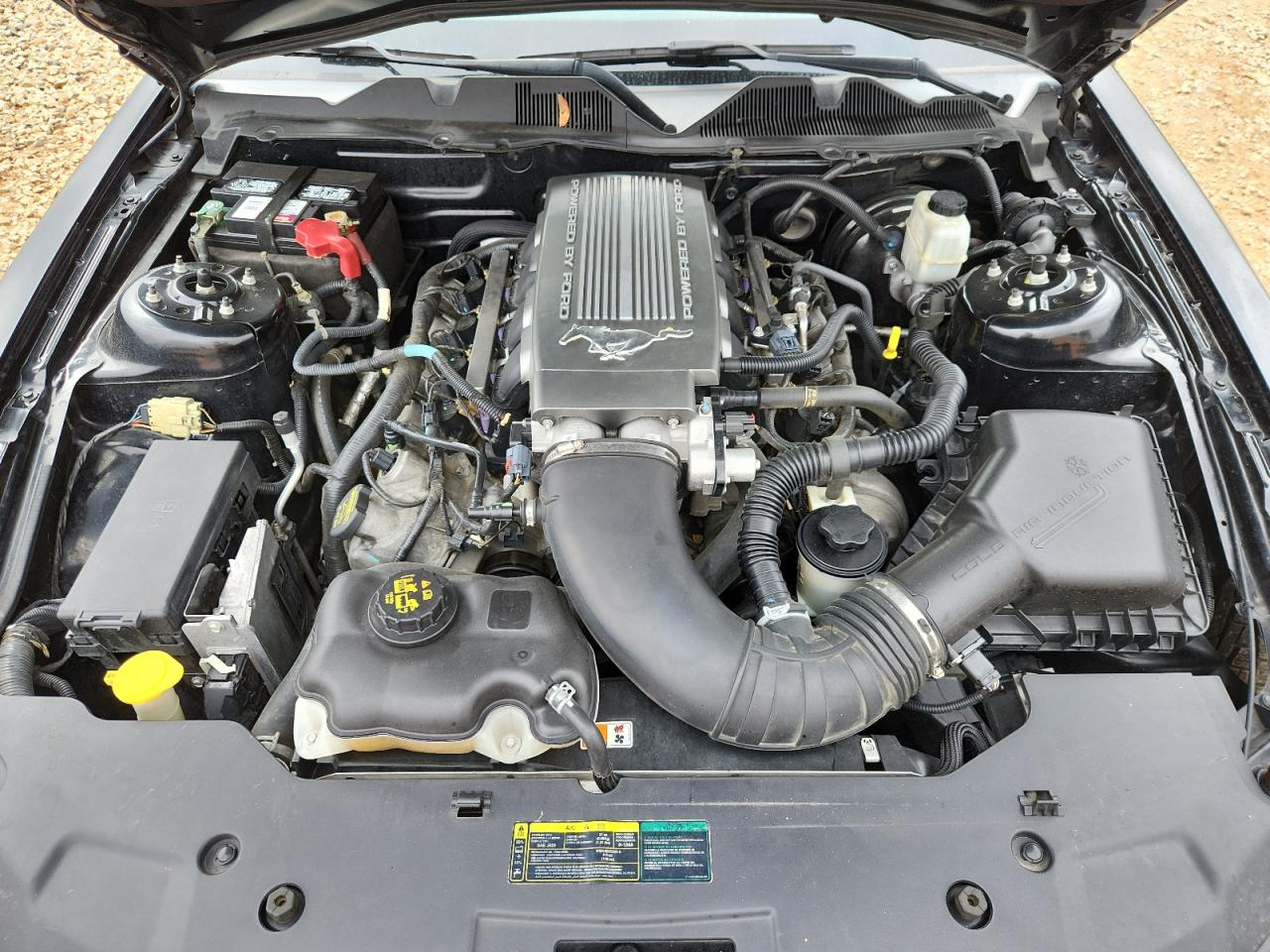 Ford Mustang Gt Image 10