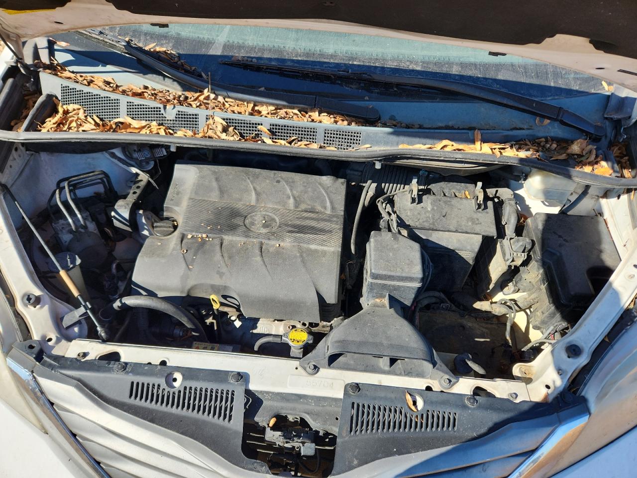 Toyota Sienna Xle Image 9