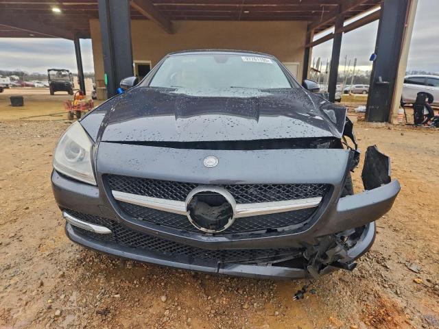 Mercedes-Benz Slk-class 250 Image 6